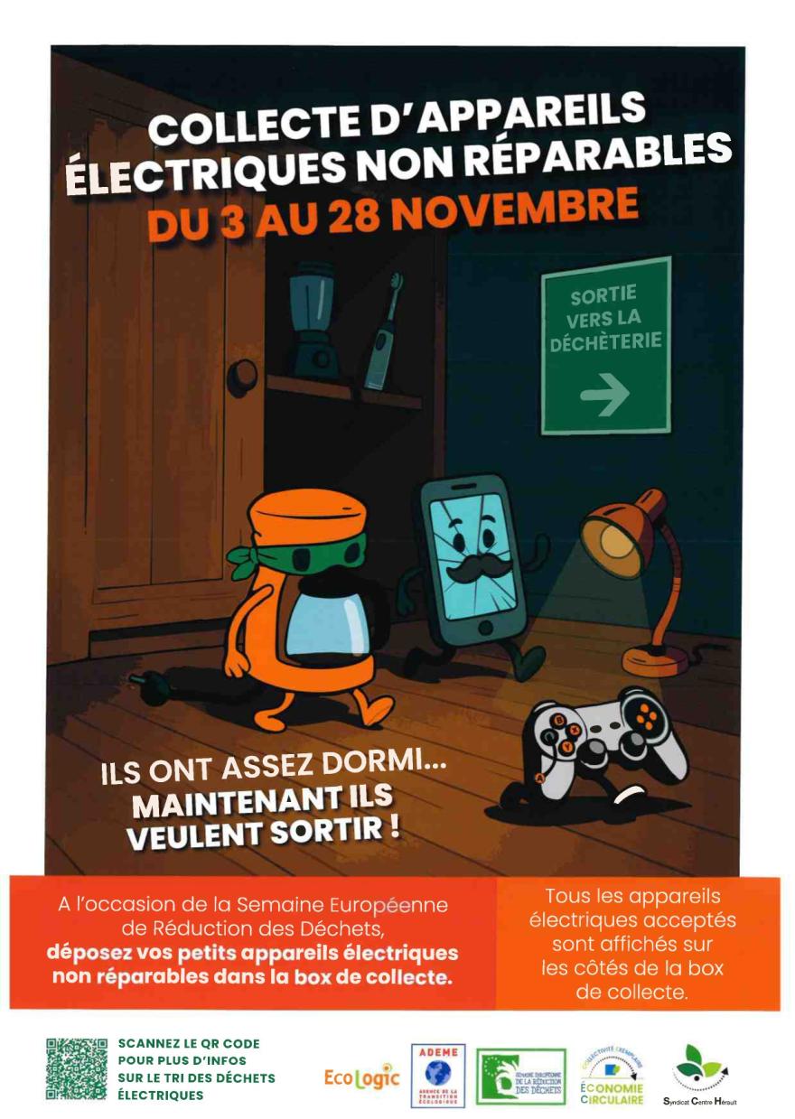Photo COLLECTE D'APPAREILS ELECTRIQUES
