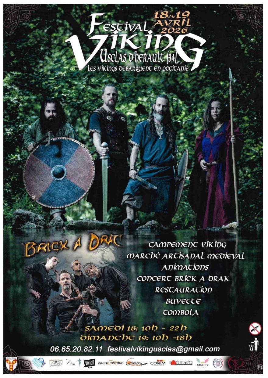 Photo FESTIVAL VIKING