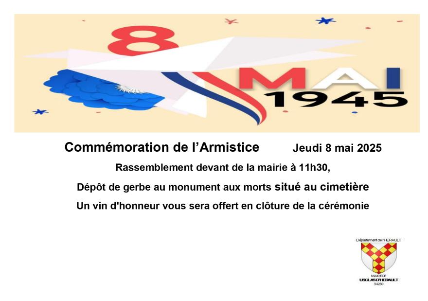 Photo CEREMONIE DU 8 MAI